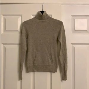 Gray Autumn Cashmere turtleneck